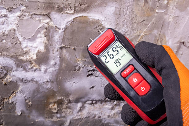 Best Attic Mold Remediation in Canton, IL