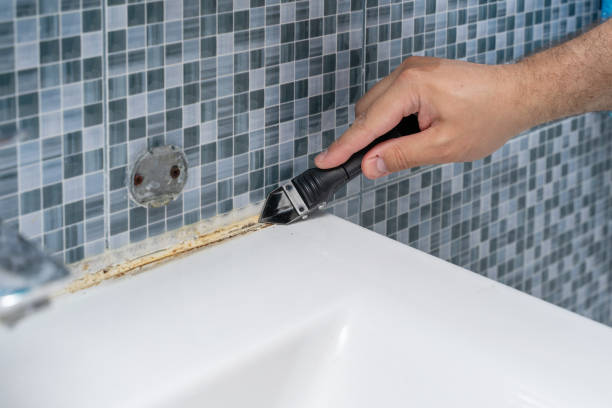 Best Basement Mold Remediation in Canton, IL